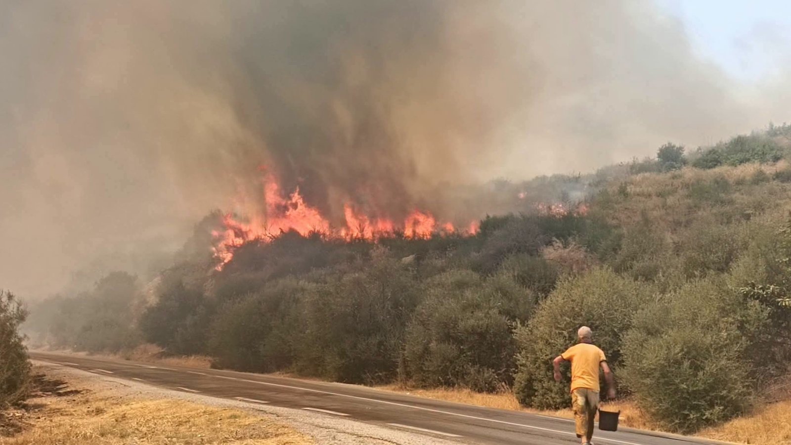 الجزائر: 195 حريقًا خلال 24 ساعة و6 وفيات وإجلاء سكان من مناطق مهددة