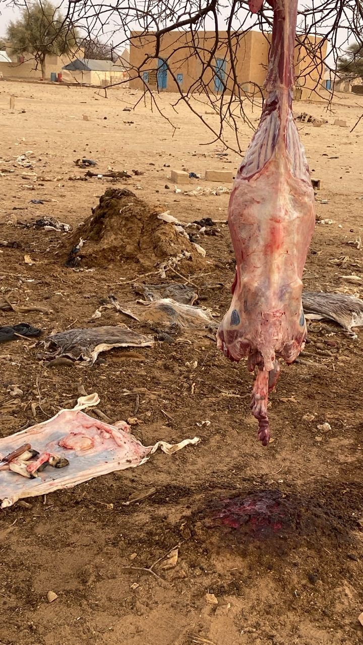 تحذيرا من كارثة صحية في باسكنو..ودعوات بإصلاح المسلخ البلدي قبل موسم الامطار”صور”
