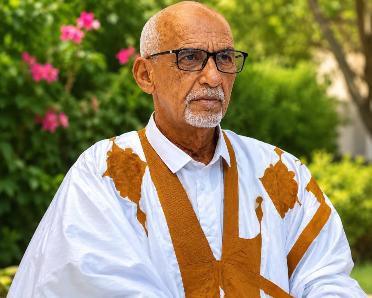 دور الحركة الناصرية في صناعة الوعي الوطني في موريتانيا: النجاحات والإخفاقات / سيدي محمد ولد اخليفه