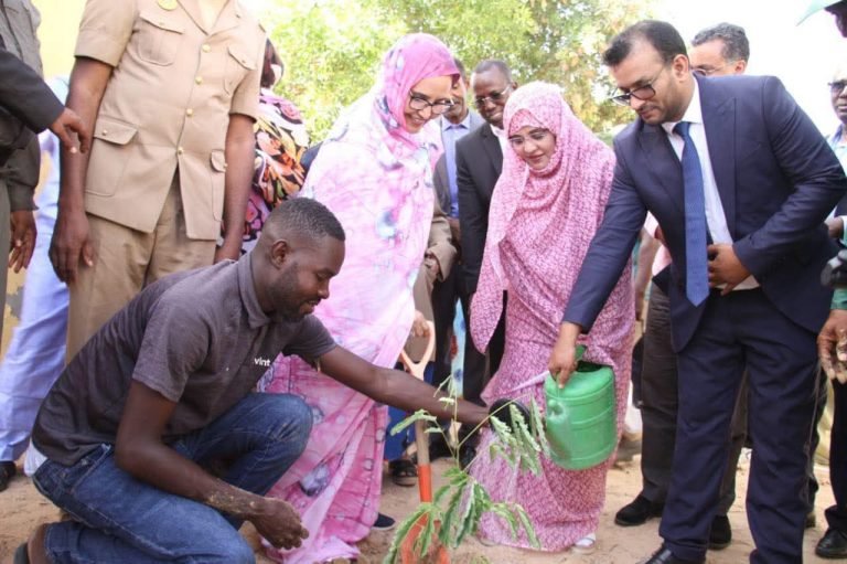 إطلاق مبادرة «مدارس خضراء» بمدرسة القطب ولد أمم في دار النعيم لتعزيز الثقافة البيئية